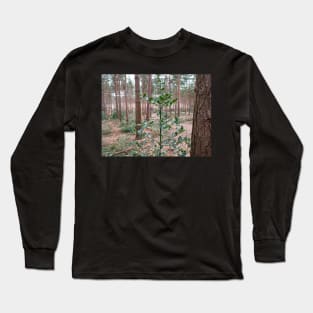 Holly Leaf tree with big trees in the background Long Sleeve T-Shirt